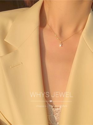 French Elegant Small Square Drill Body 925 Silver Plated 14K Gold Necklace Basic Daily Super Flash Clavicle Chain Necklace Chain Female HME