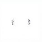 color: white gold