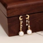 S925 Silver Plated Gold Tassel Moon Pearl Pendant Earrings Light Luxury Earrings Earrings High Design Earrings