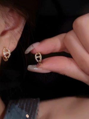 S925 Sterling Silver Plated 14K Gold Pig Nose Diamond Earrings Women's Light Luxury All-match Fashion Earrings Ouni Na