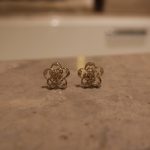 color: 18K gold pair (with earplugs)