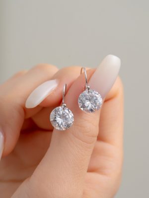 S925 Sterling Silver Ultra Flash Zircon Ear Hook Women's Simple Elegant High-end All-match Daily Commuter Fashion New Earrings
