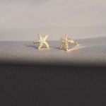 S925 Sterling Silver Plated 14k Gold Starfish Earrings Women's Small and Exquisite Star Design High-grade Earrings Ouni Na