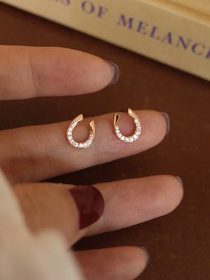 S925 Sterling Silver Plated Champagne Gold Flash Diamond U-shaped Horseshoe Earrings for Women Classic Simple Earrings HME Earrings