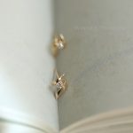 color: Gold Pair (with silver earplugs)