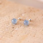 color: Aquamaro Earrings [Silver]]