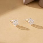 color: Silver [five-pointed star]]