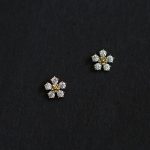 color: Gold Pair