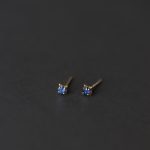 color: 18K gold pair (with earplugs)