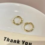 Ins Style Unique Twist Earrings Women's S925 Sterling Silver Plated 18K Gold Mobius Ear Ring Ear Buckle Light Luxury Cold Style
