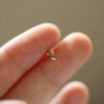 color: Gold Pair (with earplugs)