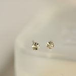color: 14K gold pair (with earplugs)