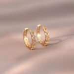 925 Silver Plated 18K Gold Round Unilateral Diamond Ear Ring Earrings Female Zircon Personality Fashion High Elegant Ear Ring