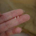 925 Sterling Silver Plated 14K Gold Invisible Mini Facet Zircon Low-key Earrings Cautionary Machine Gold Bean Raising Earrings for Women