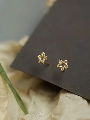S925 Sterling Silver Plated 14K Gold Cubic Line Super Cute Five-pointed Star Earrings Women's Design Fresh All-match Ears