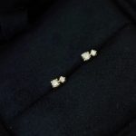 color: 18K gold pair (with earplugs)