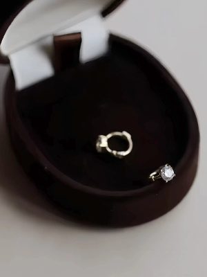 S925 Sterling Silver Plated 14 Gold Four-Claw Single Diamond Earrings Women's Extremely Simple Style Shining Ear Nail Ins Blogger Same Style Earrings