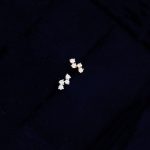 color: 18K gold pair (with earplugs)