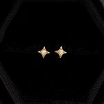 color: Gold-Ear Pin