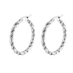 color: 2 Twisted Wire Earrings Steel Color MS-022