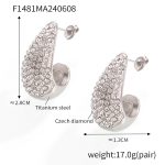 color: F1481-Steel Color Earrings