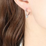 color: F437-Steel Color Earrings