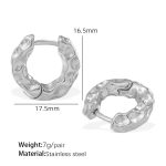 color: EH873S Steel Color Earrings