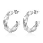color: 5.0 Twisted Wire Earrings Steel Color