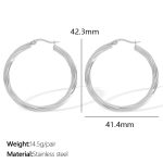 color: EH832 Silver Earrings