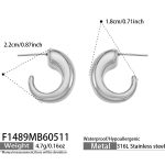 color: F1489-Steel Color Earrings