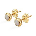 color: 5MM Zircon Stud Earrings (Opal)