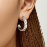 C- Shaped Stainless Steel Inlaid Zircon Earrings All-Match Earrings for Women Entry Lux