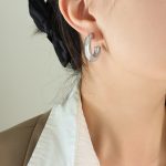 color: F699-Steel Color Earrings