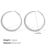 color: EH02S6CM Silver Earrings