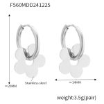 color: F560-Steel Color Earrings