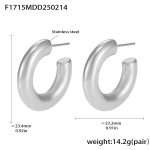 color: F1715-Steel Color Earrings -Medium