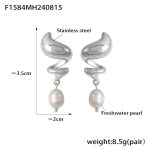 color: F1584-Steel Color Earrings