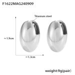 color: F1622-Steel Color Earrings