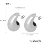 color: F1081-Mirror Polished Steel Color Earrings