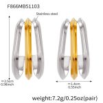 color: F866-Two-tone Gold Earrings