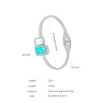 color: Z291-Steel Color Bangle