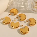 New Simple and Cool Semicircle Unique Earrings Autumn and Winter Light Luxury High Class Elegant Earrings