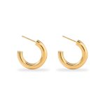 color: 5.0C Shape Earrings Gold MS-027