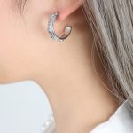 color: F782-Steel Color Earrings
