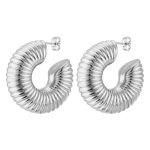 color: Spiral Pattern Hollow C Shape Earrings Steel Color MS-112