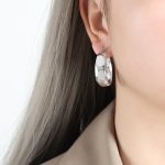 color: F800-Steel Color Small Earrings