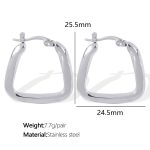 color: EH292 Silver Earrings