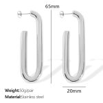 color: EH815 Silver Earrings