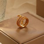 Cold Surrounding Snake Ring Female Non-Fading Cold Trendy Personalized Stainless Steel Ring Hand Jewelry