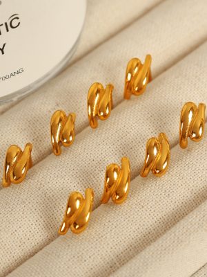 Earrings Premium Earrings Personality Design Irregular Shaped Delicate Earrings